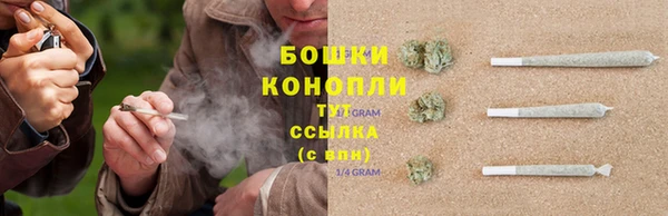 прущие грибы Белоозёрский