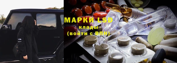 прущие грибы Белоозёрский