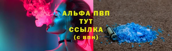 ECSTASY Белокуриха