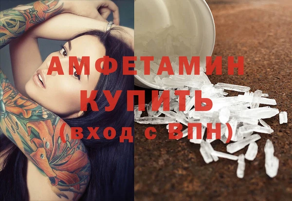 прущие грибы Белоозёрский