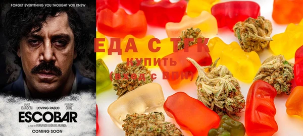 ПСИЛОЦИБИНОВЫЕ ГРИБЫ Гусь-Хрустальный
