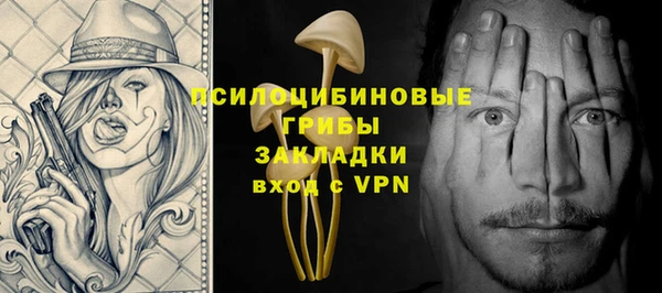 прущие грибы Белоозёрский